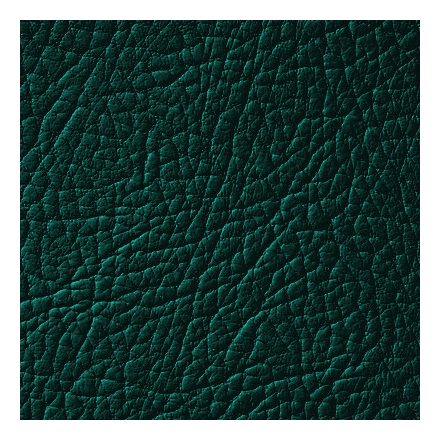 Leather Expert bőrfesték bőrszínező 603 Forest Green 250ml